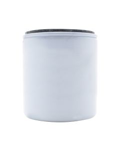 Fuel Filter 5009676 for Johnson