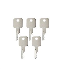 Ignition Key D250 5PCS for Case IH 