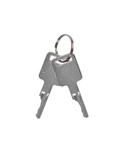 Ignition Key D250 2Pcs For Case For Bobcat