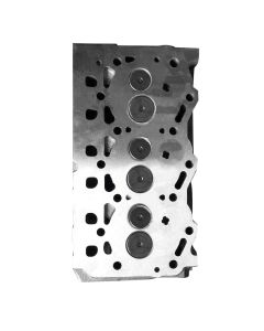 Engine Cylinder Head with Valves 3TNM74 for Yanmar