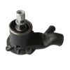 Water Pump 311781A1 For Massey Ferguson 