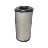 Air Filter RS3884 for FG Wilson