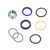 Hydraulic Cylinder Seal Kit 7135558-A for Bobcat