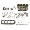 Rebuild Kit BF4M1011 for Bobcat for Deutz