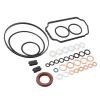 Injection Pump Rebuild Kit 1-467-010-059 for Cummins for Bosch for Dodge