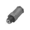 Fuel Rail Pressure Plug Valve 3947799 for Cummins for Dodge