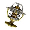 Thermostat 145206230 for Perkins