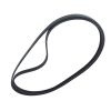 V Ribbed Belt 4938436 for Cummins 