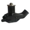 New Water Pump 1136108772 For Hitachi