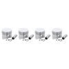 Piston and Ring Kit 1573221112 4PCS for Kubota