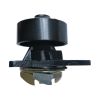 Water Pump 3415366 for Cummins
