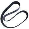 Fan Belt 3003341 For Cummins 