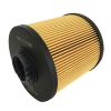 Fuel Filter YT21P01006R100 For New Holland