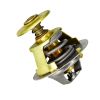 Thermostat 145206230 for Perkins