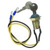 Ignition Switch 225310 with 2 Keys for Massey Ferguson for John Deere for Ford for New Holland