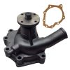 Water Pump With Gasket 2098575 For Deutz For Massey Ferguson For Allis Chalmers For Hinomoto