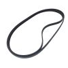 V Ribbed Belt 4938436 for Cummins 