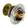Thermostat 145206230 for Perkins