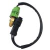 Pressure Sensor 1060181 for Caterpillar