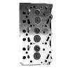 Engine Cylinder Head with Valves 3TNM74 for Yanmar