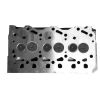 Engine Cylinder Head with Valves 3TNM74 for Yanmar