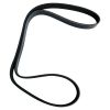 Belt 8pk1443 for Cummins