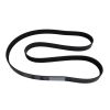 V Ribbed Belt 3289985 for Cummins
