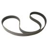 Fan Belt 8PK1480 for Komatsu 