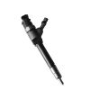 Fuel Injector 0445110250 for Ford 