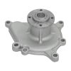 Water Pump 1874206 For Iseki For Bolens For Field Boss For Isuzu