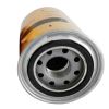 Oil Filter CA1R0713 For Caterpillar 