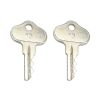 Ignition Keys 2PCS for Cub Cadet