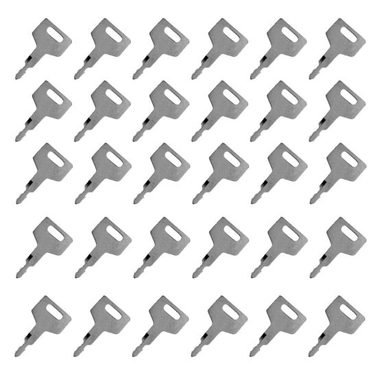 Ignition Key 30Pcs 17001-00019 For Takeuchi 