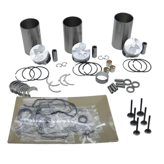 Rebuild Kit D902 For Bobcat For Kubota