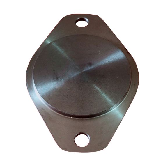 Cover Plate 205159 for New Holland for Cummins