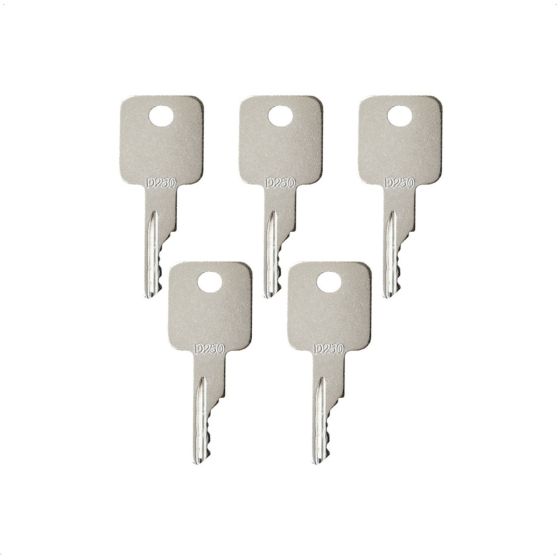 Ignition Key D250 5PCS for Case IH 