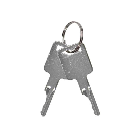 Ignition Key D250 2Pcs For Case For Bobcat