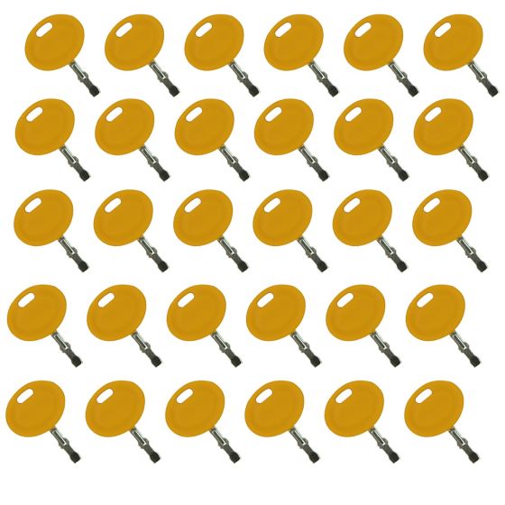 30Pcs Ignition Keys 625-05002 for MTD Cub Cadet 