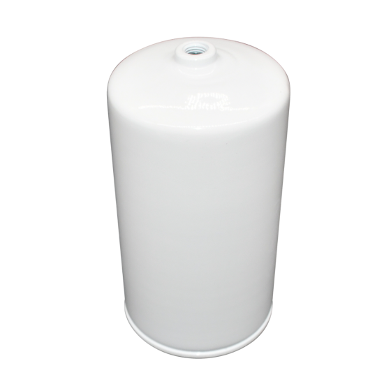 Fuel Filter BF46050 for Deutz for Genie 