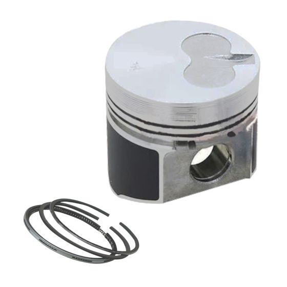 Piston Kit 3TNA72 For Yanmar For Thermo King For Kobelco