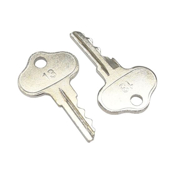 Ignition Keys 2PCS for Cub Cadet