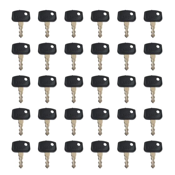 30PCS Ignition Key 68920 for Kubota 