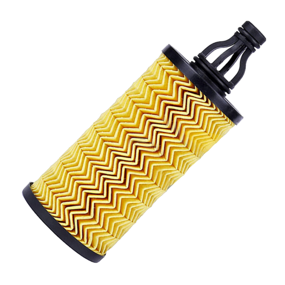 Oil Filter 311401 for Maserati