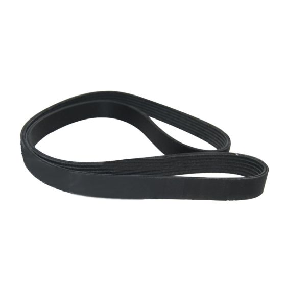 V-Ribbed Drive Belt 3101314 For Cummins