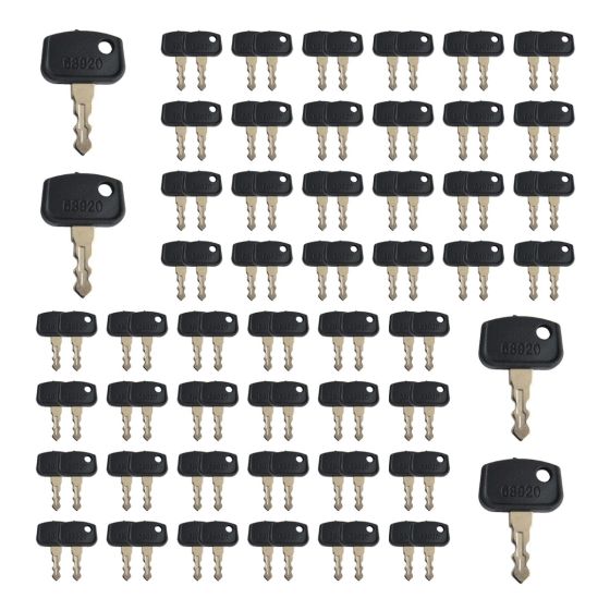Ignition Keys 100pc PL50168920 for Kubota