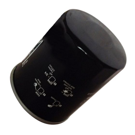 Fuel Filter 4206090 For Hitachi