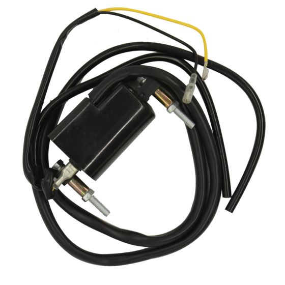 12V Dual Lead Wire Ignition Coil 21121-1001 for Kawasaki 
