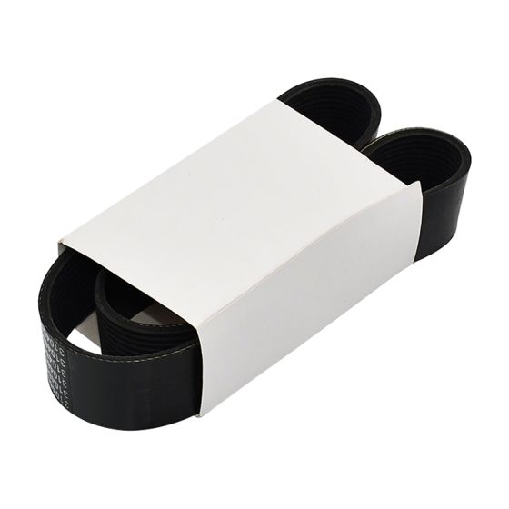 V Ribbed Belt 3681796 for Cummins